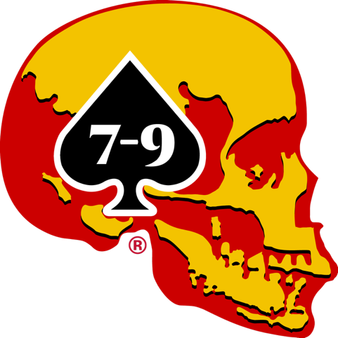 CVMA AR 7-9 chapter skull logo